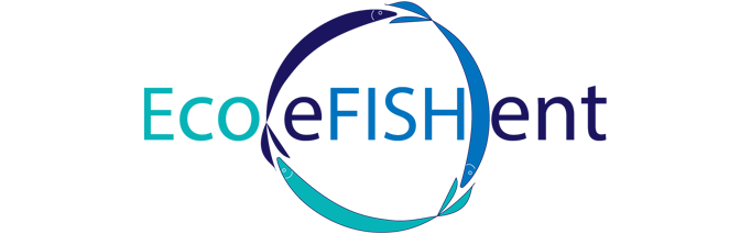 logo EcoEfishent